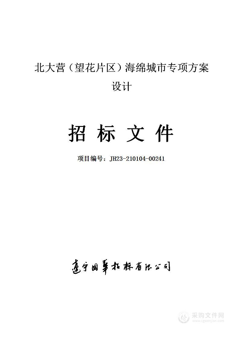 北大营（望花片区）海绵城市专项方案设计