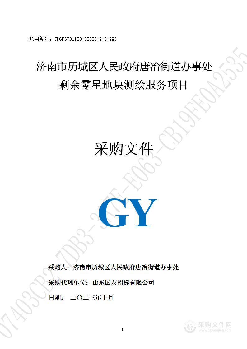 济南市历城区人民政府唐冶街道办事处剩余零星地块测绘服务项目