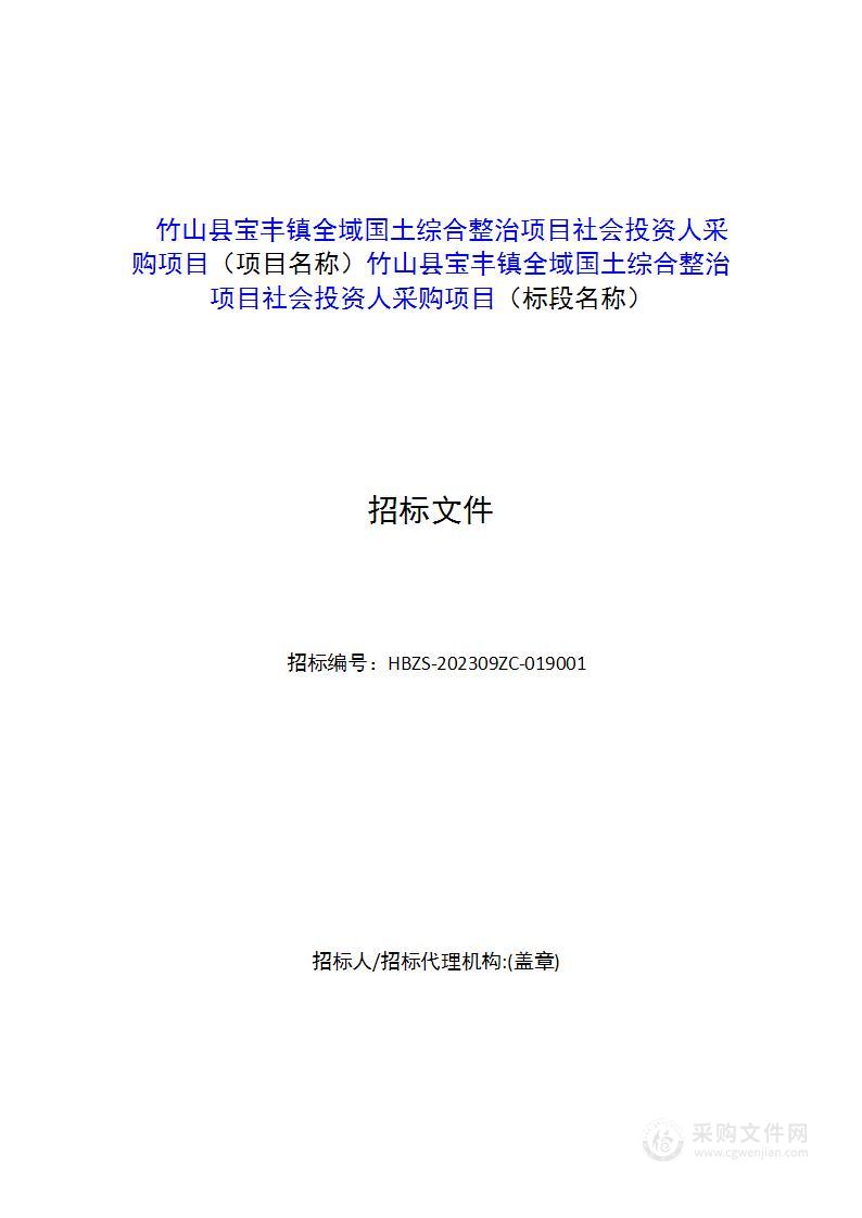 竹山县宝丰镇全域国土综合整治项目社会投资人采购项目