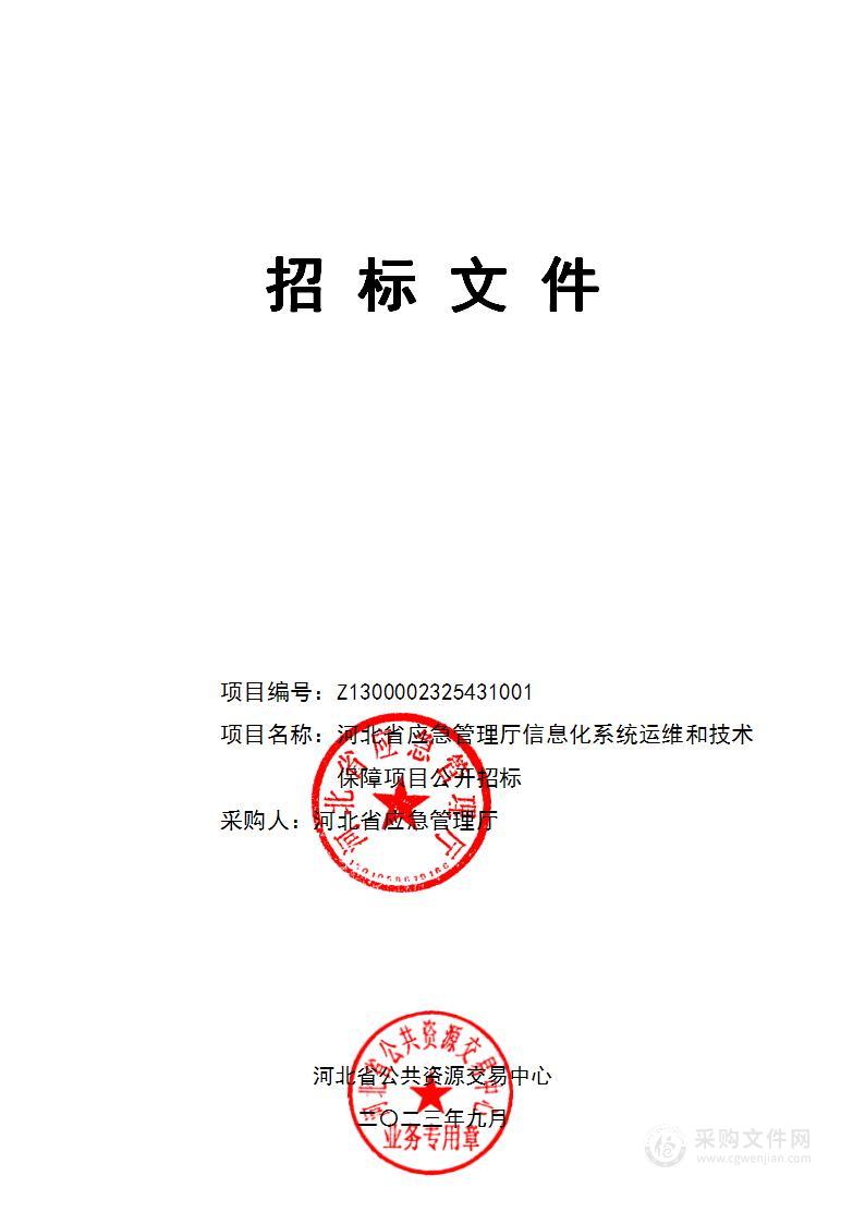 河北省应急管理厅信息化系统运维和技术保障项目公开招标