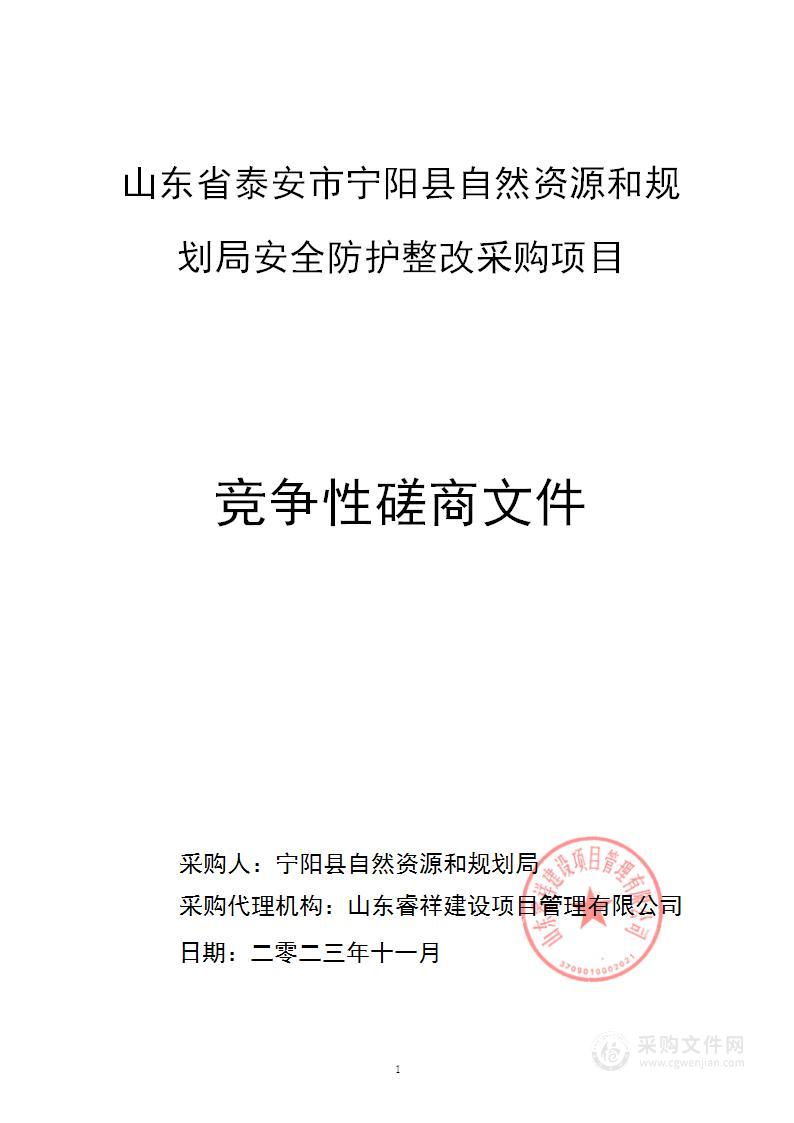 山东省泰安市宁阳县自然资源和规划局安全防护整改采购项目