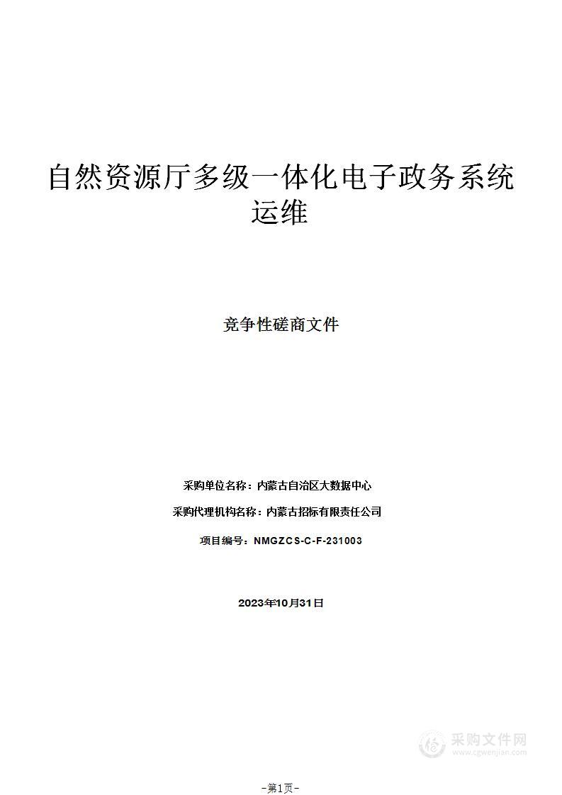 自然资源厅多级一体化电子政务系统运维