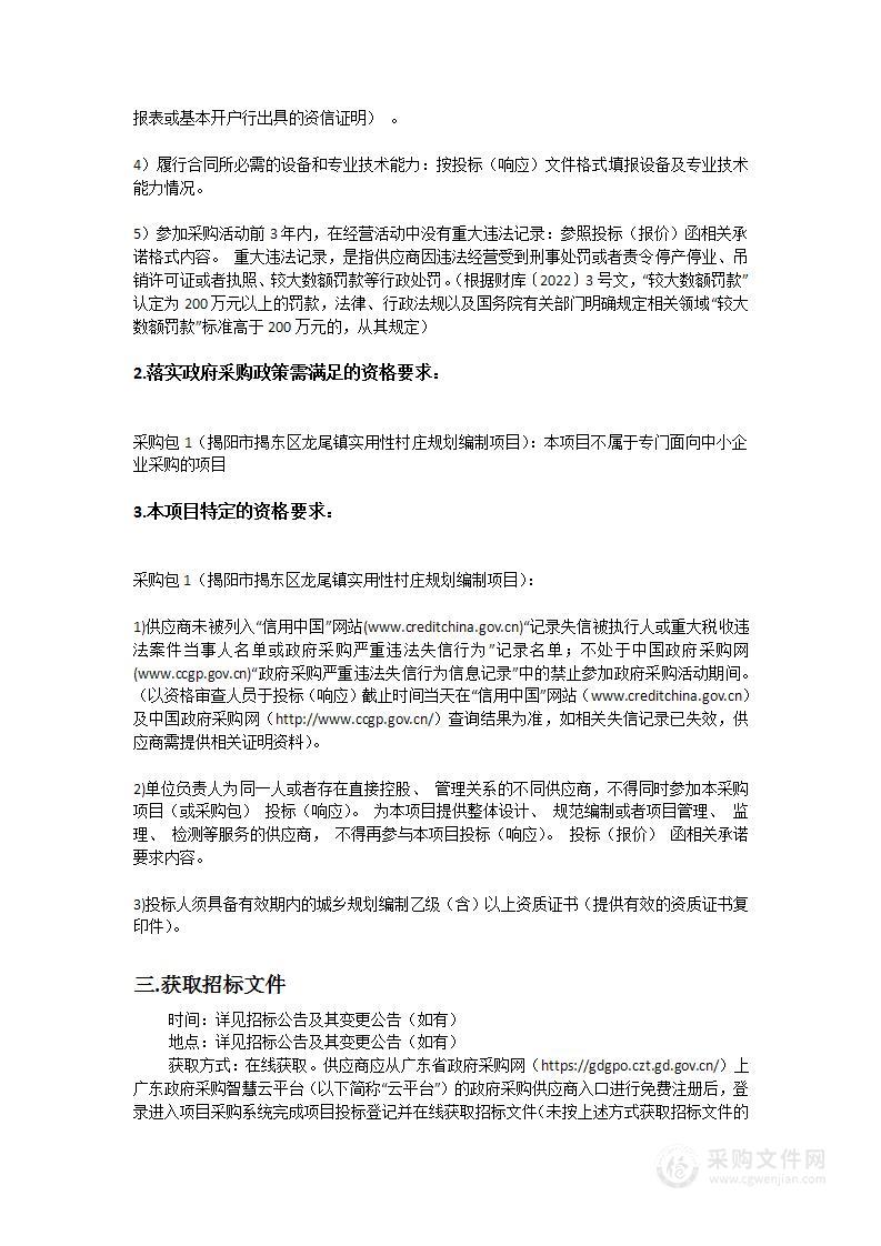 揭阳市揭东区龙尾镇实用性村庄规划编制项目