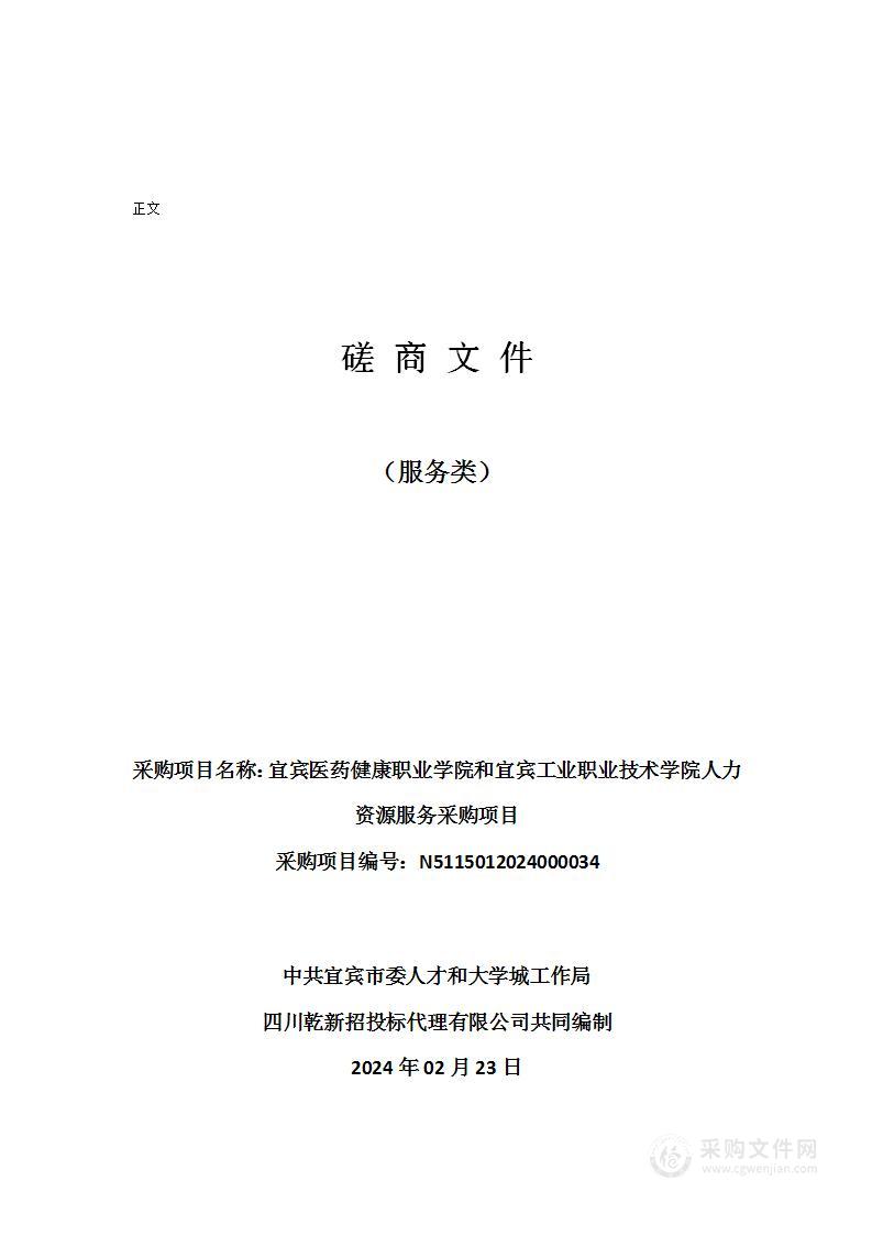 宜宾医药健康职业学院和宜宾工业职业技术学院人力资源服务采购项目