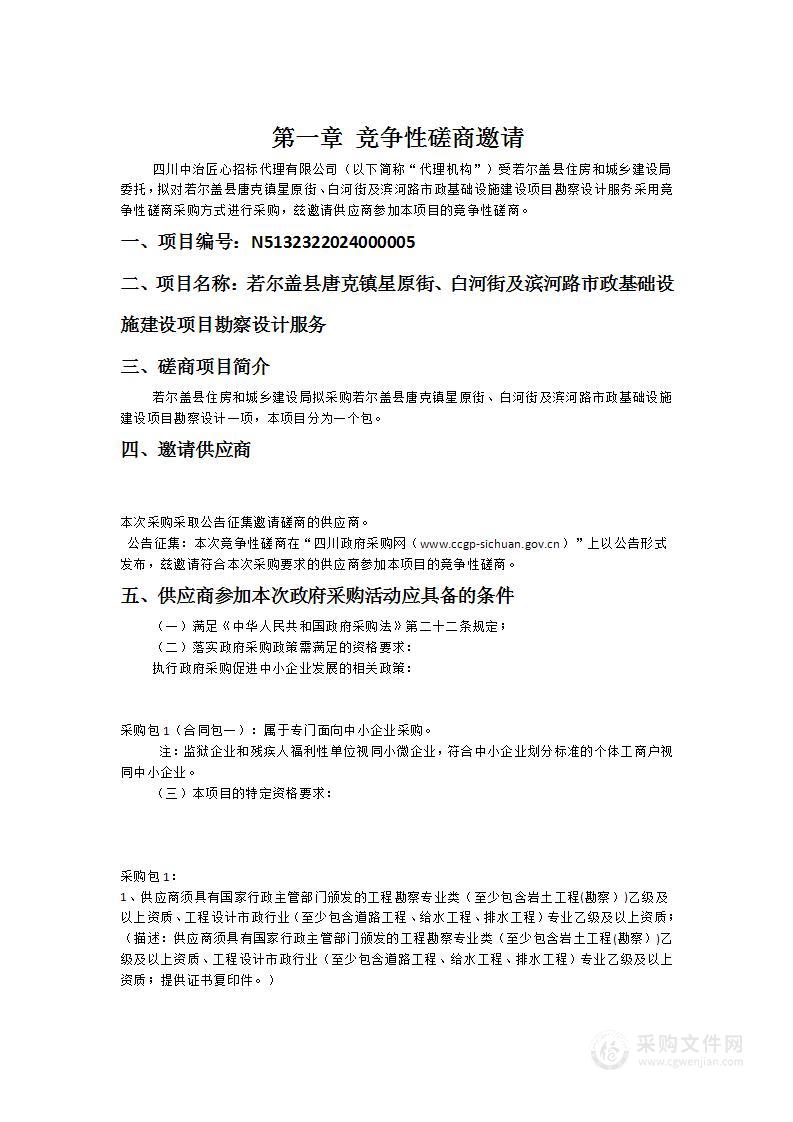 若尔盖县唐克镇星原街、白河街及滨河路市政基础设施建设项目勘察设计服务