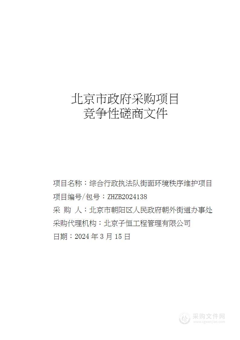 综合行政执法队街面环境秩序维护项目