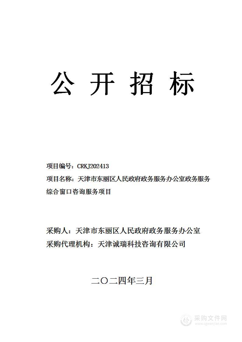 天津市东丽区人民政府政务服务办公室政务服务综合窗口咨询服务项目