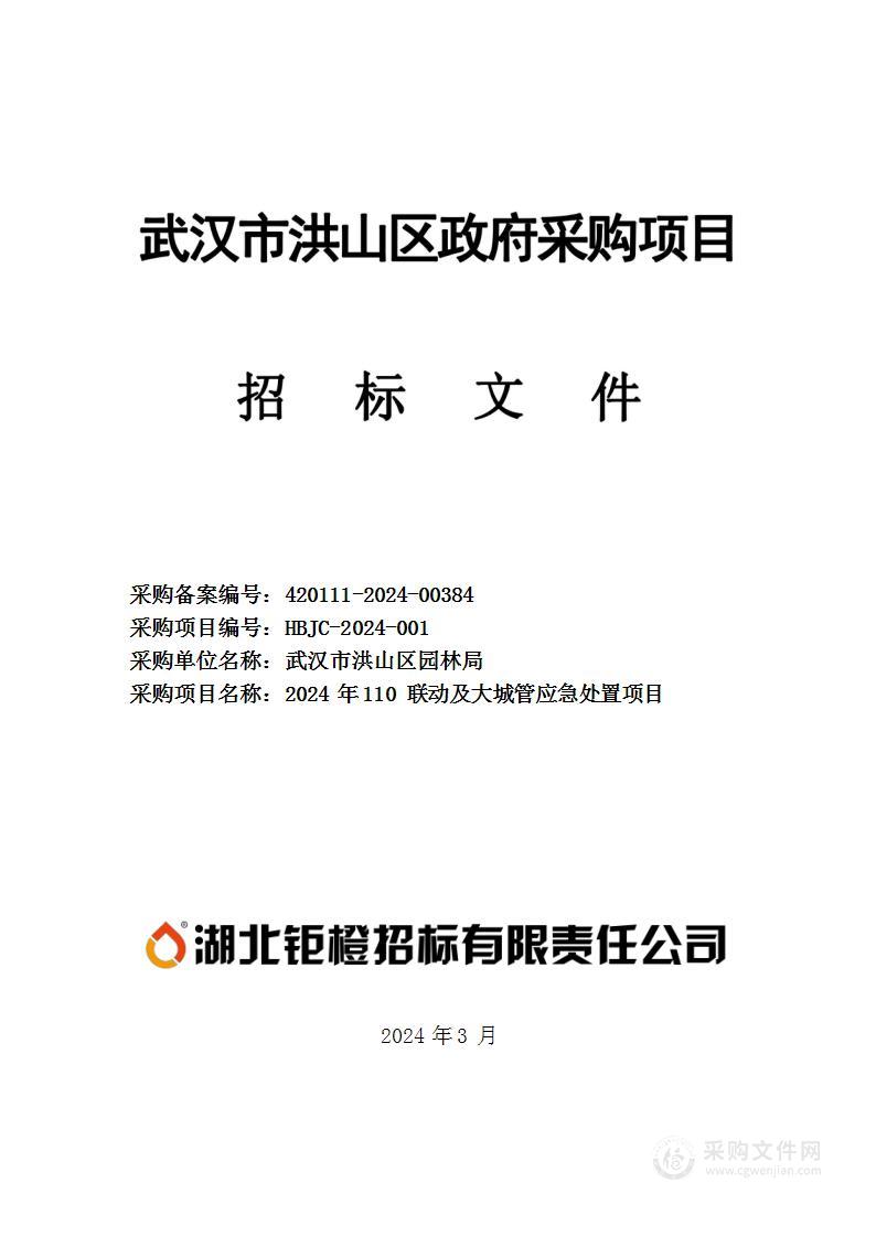 2024 年 110 联动及大城管应急处置项目