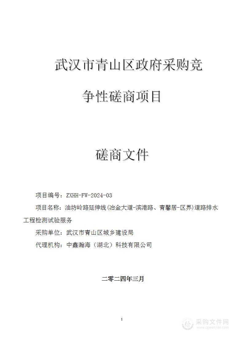 油坊岭路延伸线(冶金大道-滨港路、青馨居-区界)道路排水工程检测试验服务