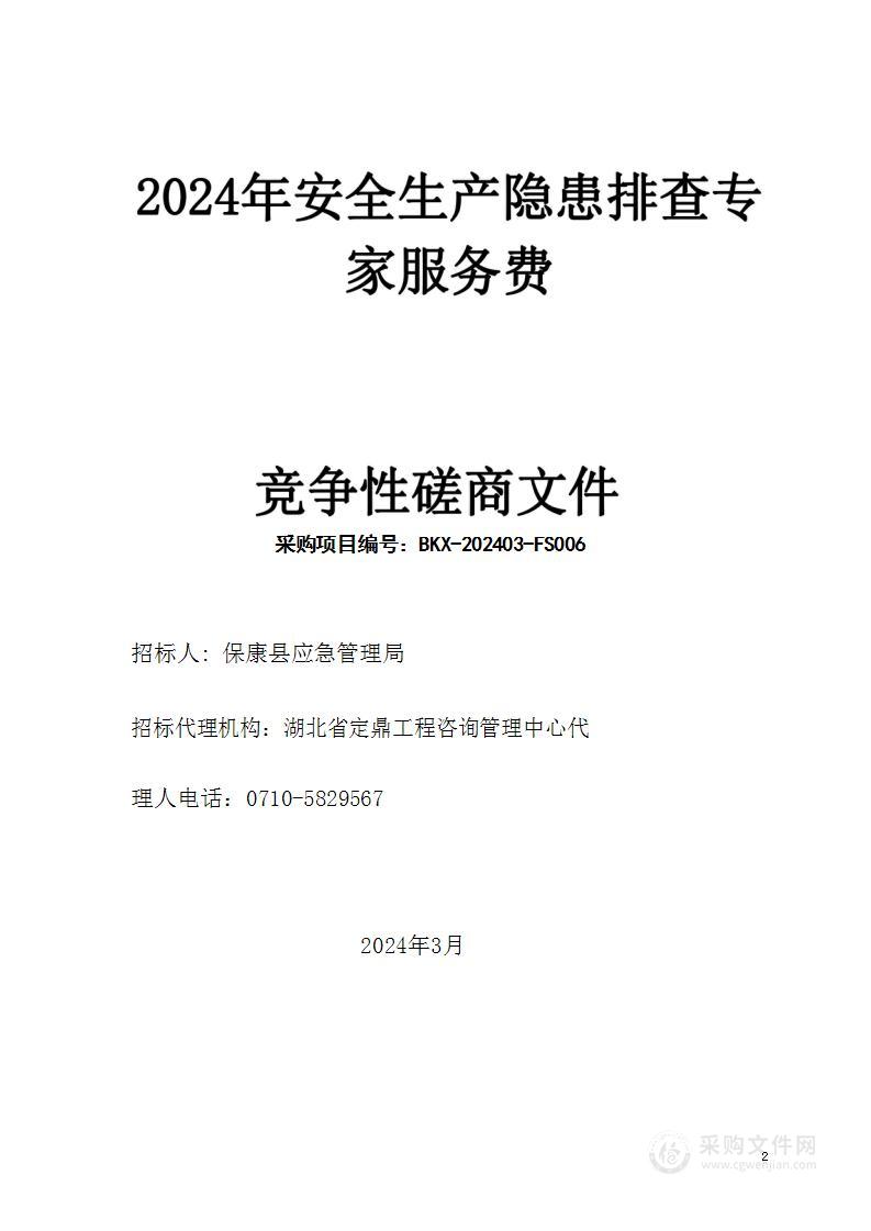 2024年安全生产隐患排查专家服务费