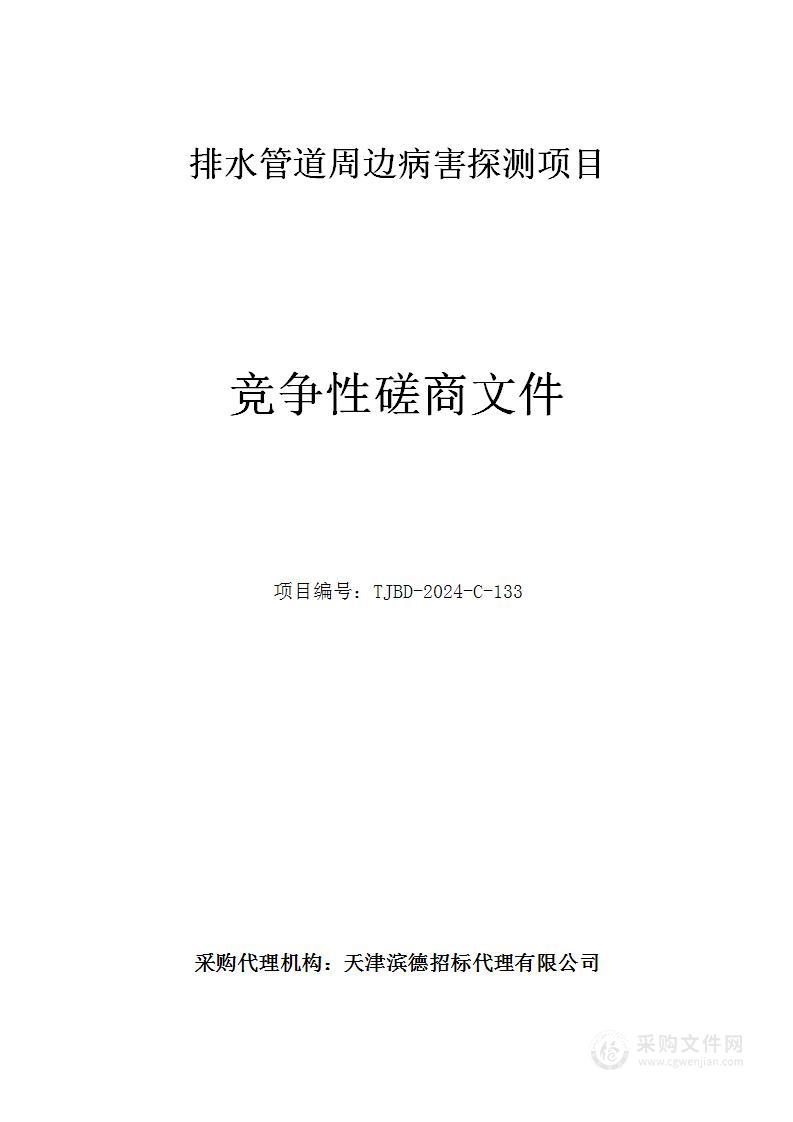 排水管道周边病害探测项目