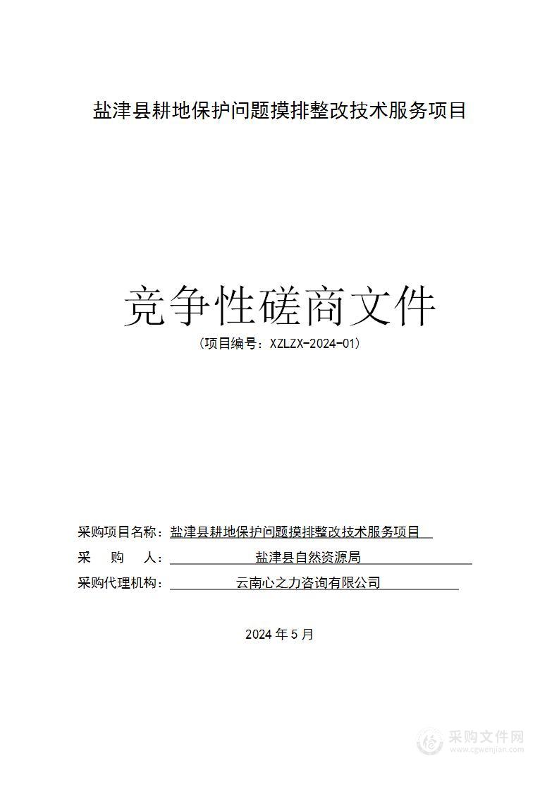 盐津县耕地保护问题摸排整改技术服务费