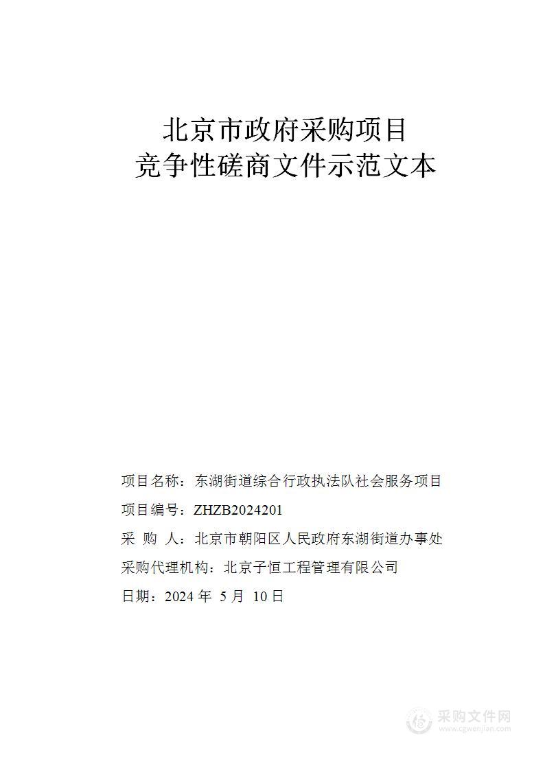 东湖街道综合行政执法队社会服务项目