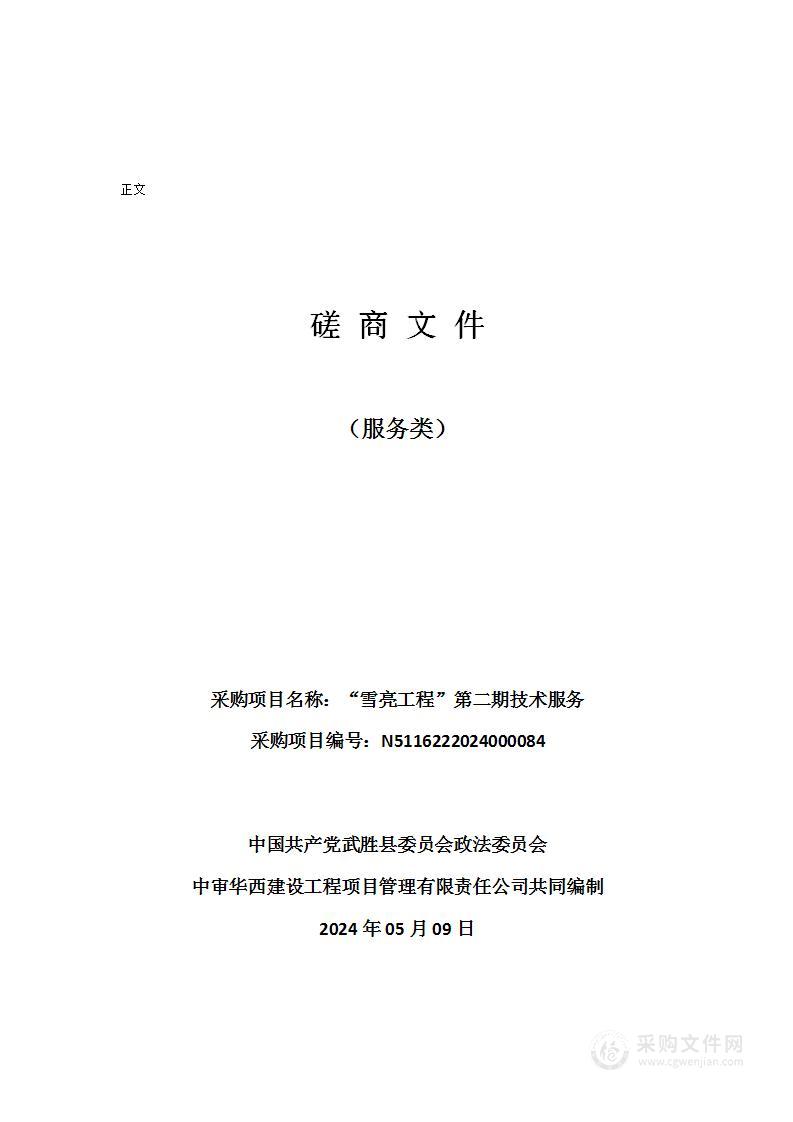 中国共产党武胜县委员会政法委员会“雪亮工程”第二期技术服务