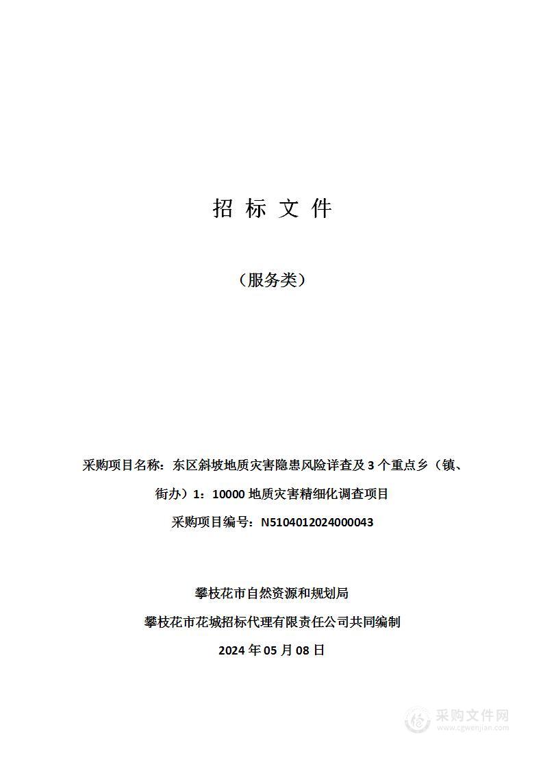 东区斜坡地质灾害隐患风险详查及3个重点乡（镇、街办）1：10000地质灾害精细化调查项目