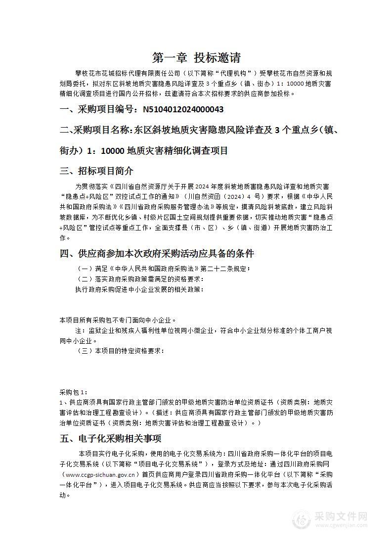 东区斜坡地质灾害隐患风险详查及3个重点乡（镇、街办）1：10000地质灾害精细化调查项目