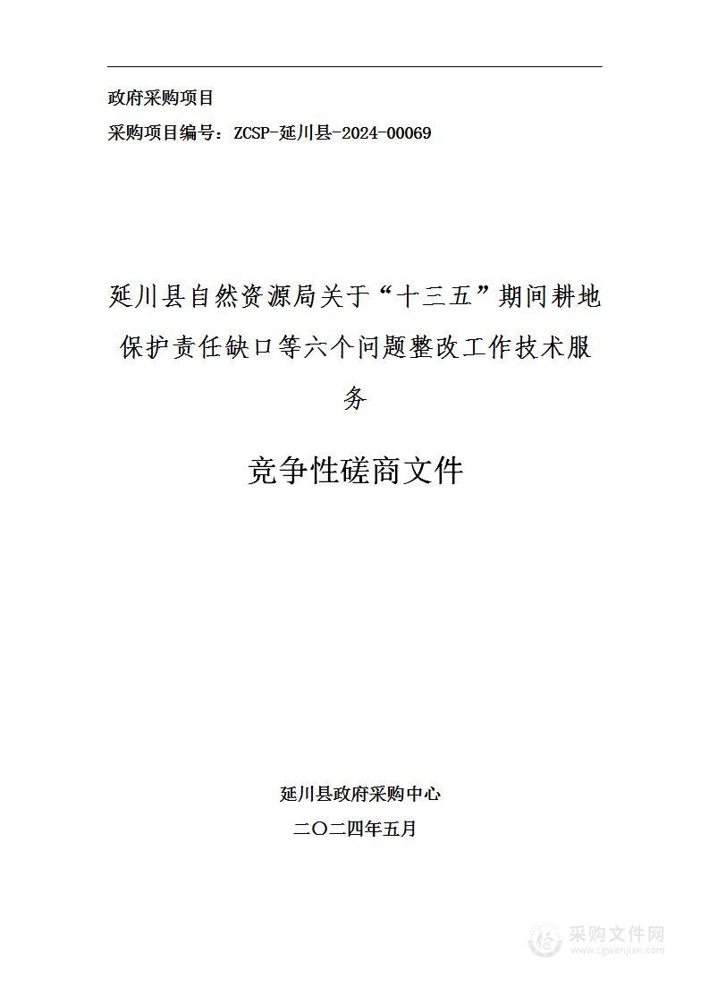 “十三五”期间耕地保护责任缺口等六个问题整改工作技术服务