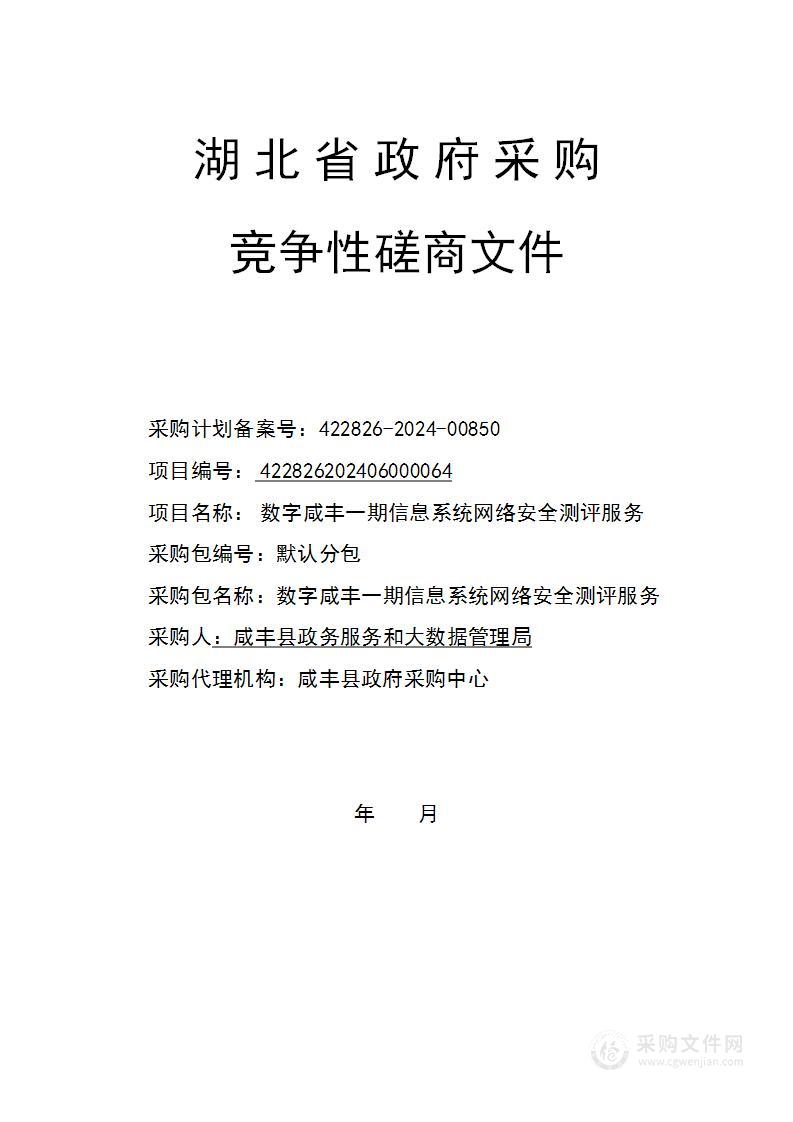 数字咸丰一期信息系统网络安全测评服务