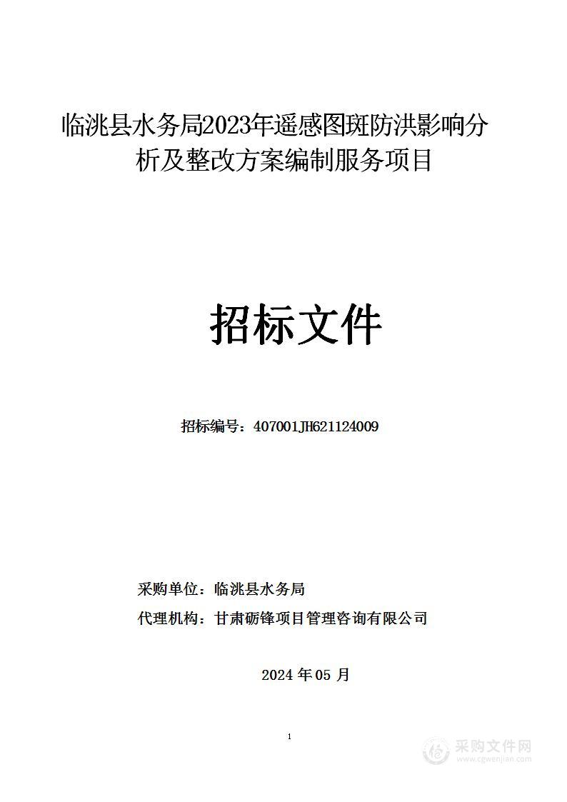 临洮县水务局2023年遥感图斑防洪影响分析及整改方案编制服务项目