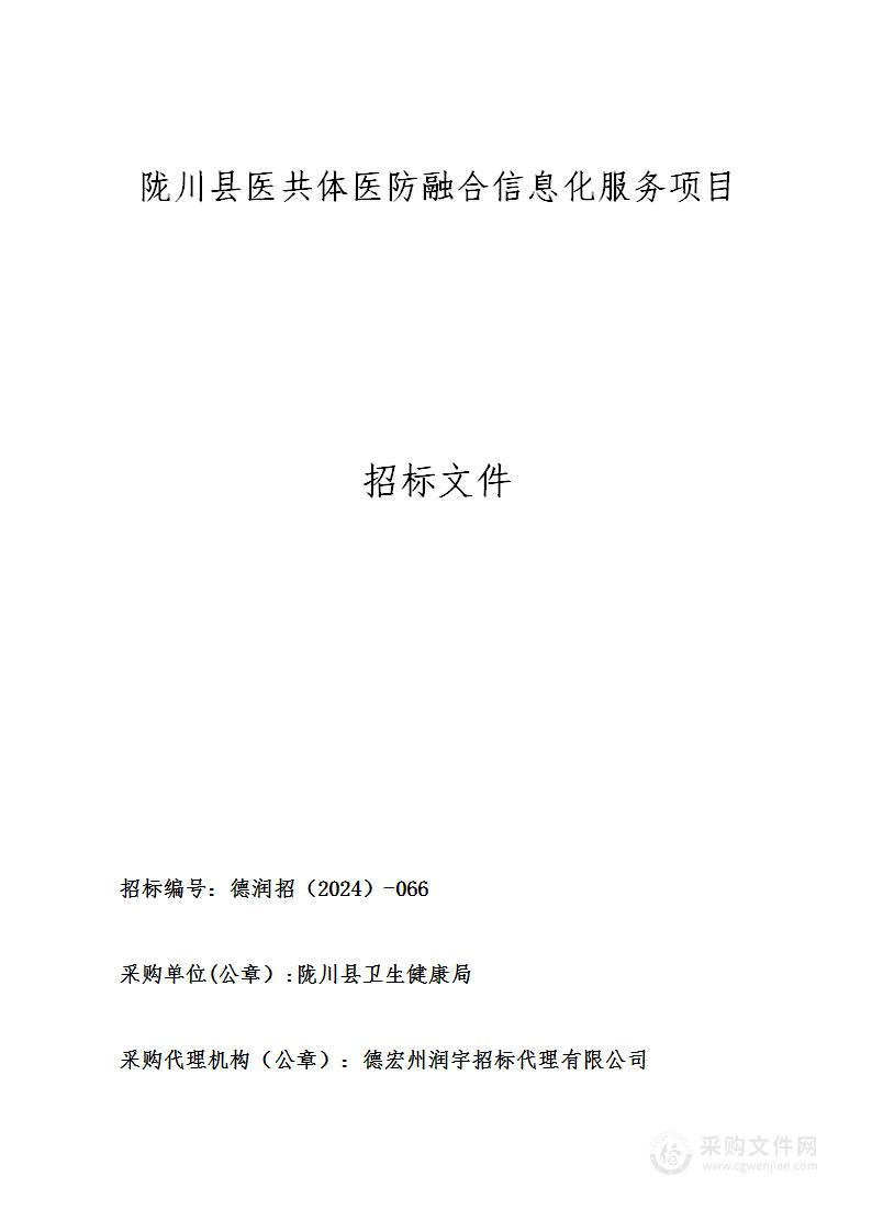 陇川县医共体医防融合信息化服务项目