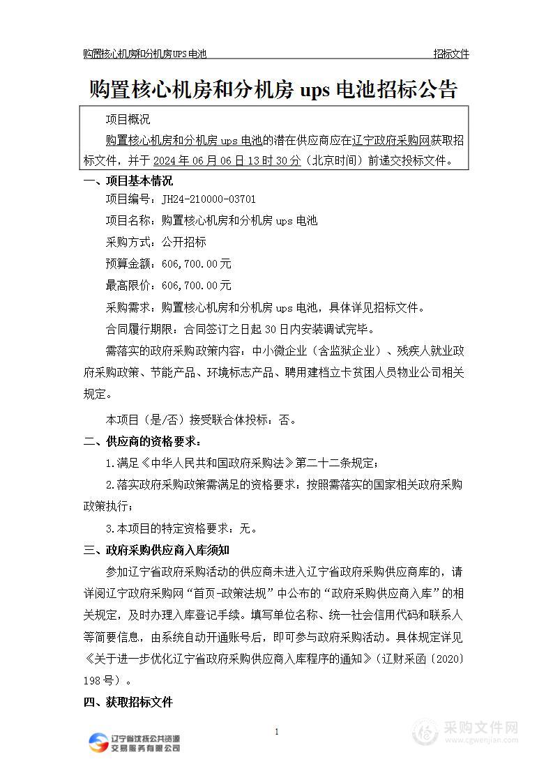 购置核心机房和分机房ups电池