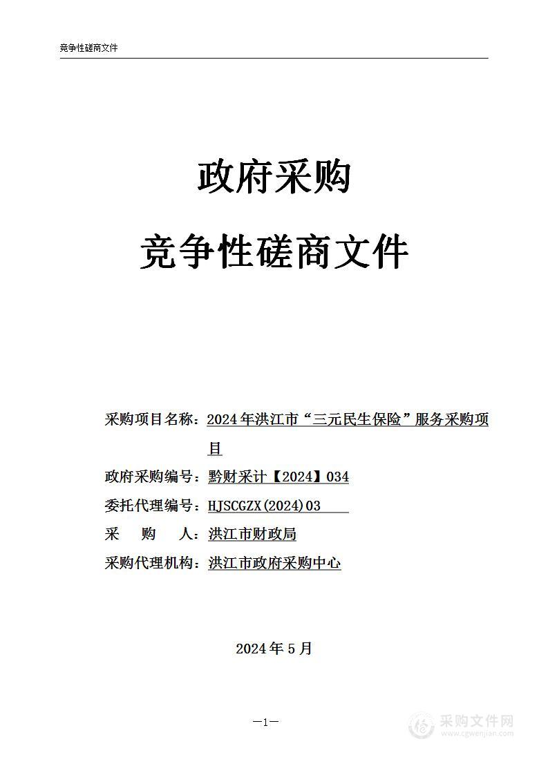 2024年洪江市“三元民生保险”服务采购项目