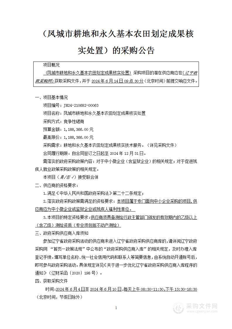 凤城市耕地和永久基本农田划定成果核实处置