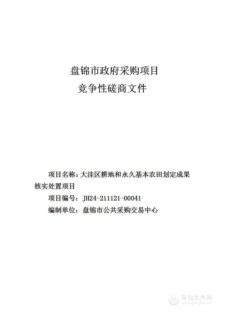 大洼区耕地和永久基本农田划定成果核实处置项目