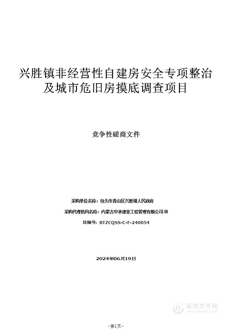 兴胜镇非经营性自建房安全专项整治及城市危旧房摸底调查项目