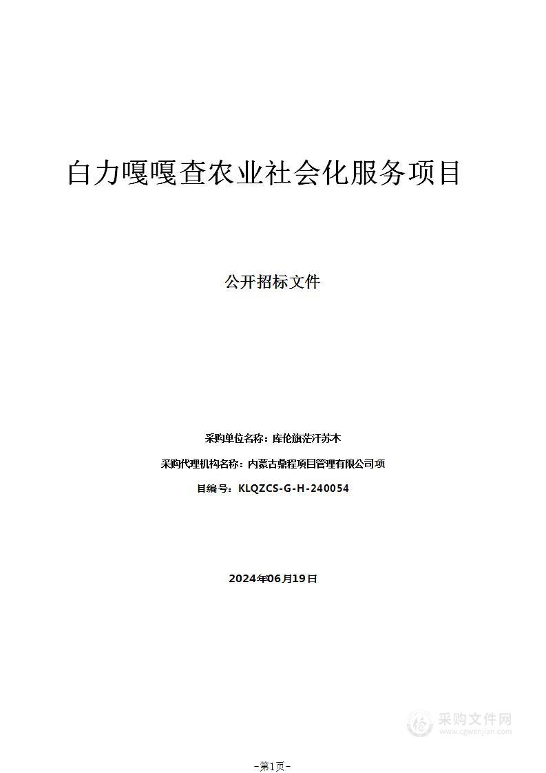 白力嘎嘎查农业社会化服务项目