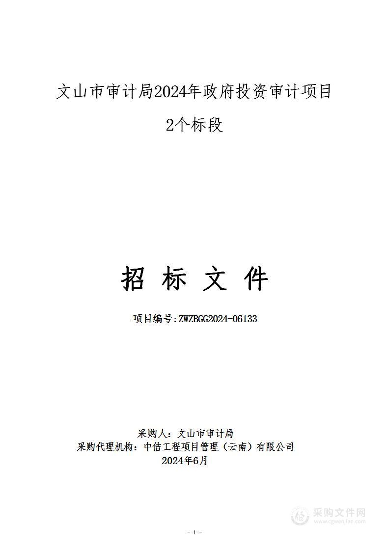 文山市审计局2024年政府投资审计项目2个标段