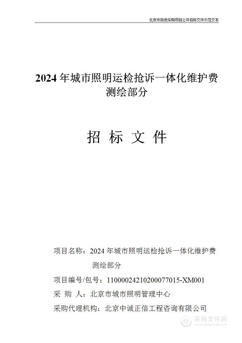 2024年城市照明运检抢诉一体化维护费