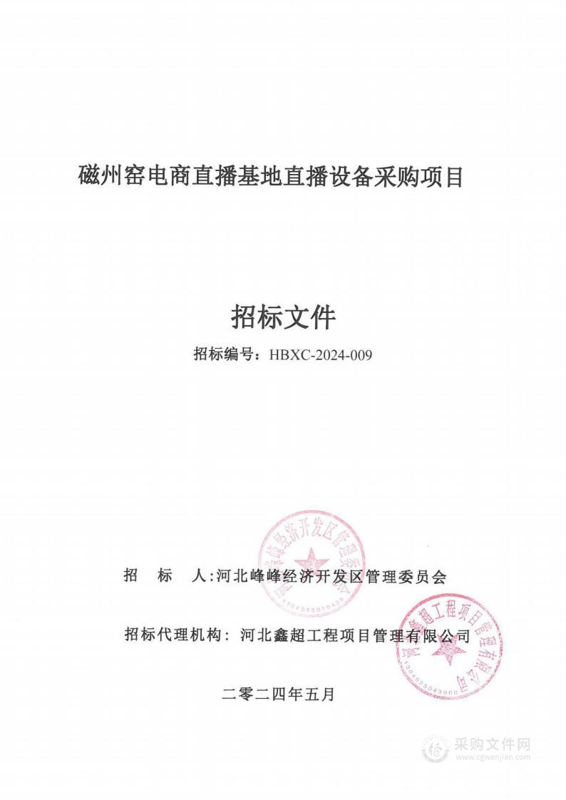 磁州窑电商直播基地直播设备采购项目