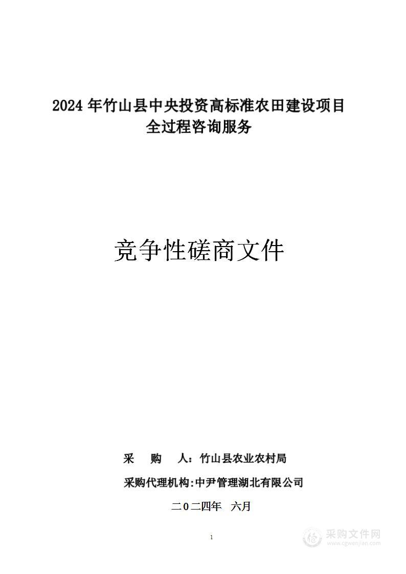 2024年竹山县中央投资高标准农田建设项目全过程咨询服务