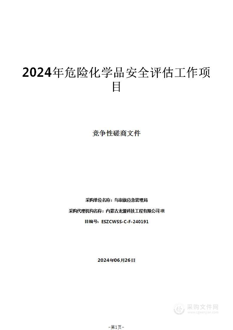 2024年危险化学品安全评估工作项目