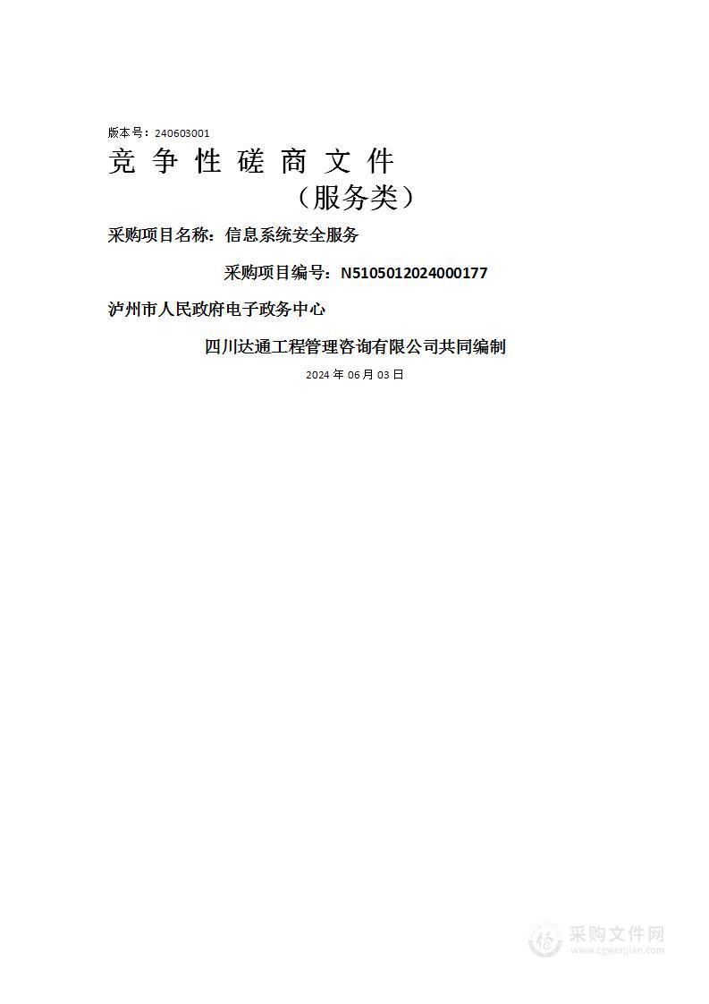 泸州市人民政府电子政务中心信息系统安全服务