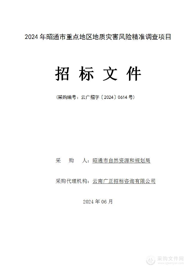 2024年昭通市重点地区地质灾害风险精准调查项目