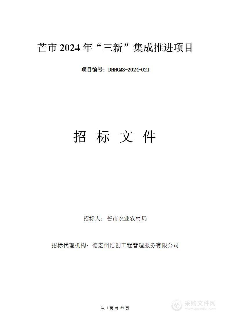 芒市2024年“三新”集成推进项目