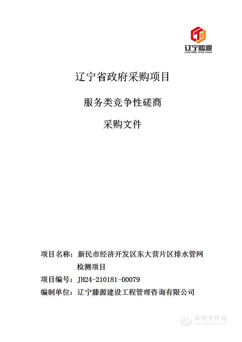 新民市经济开发区东大营片区排水管网检测项目