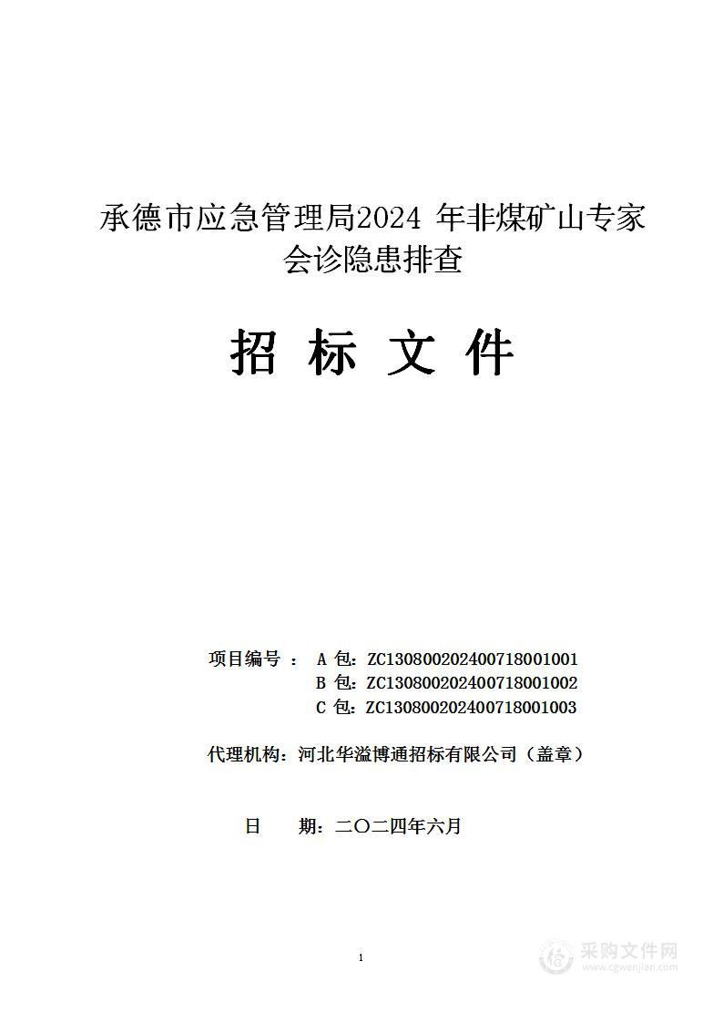 承德市应急管理局2024年非煤矿山专家会诊隐患排查