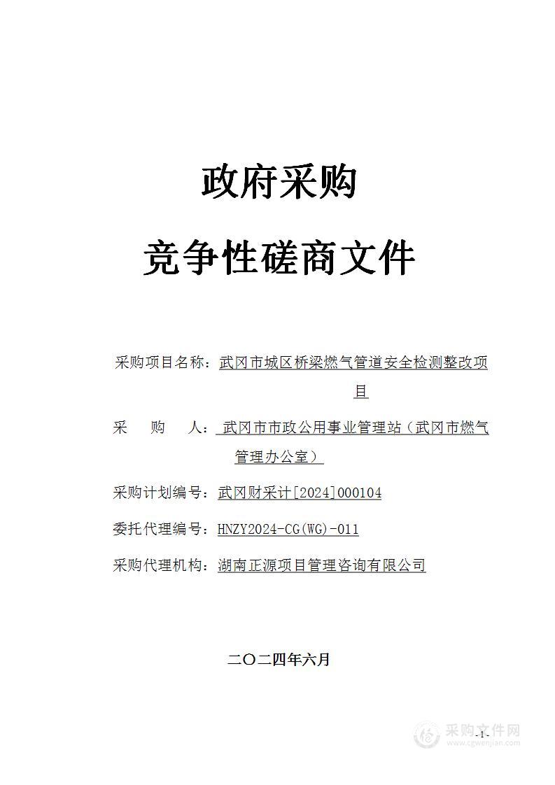 武冈市城区桥梁燃气管道安全检测整改项目