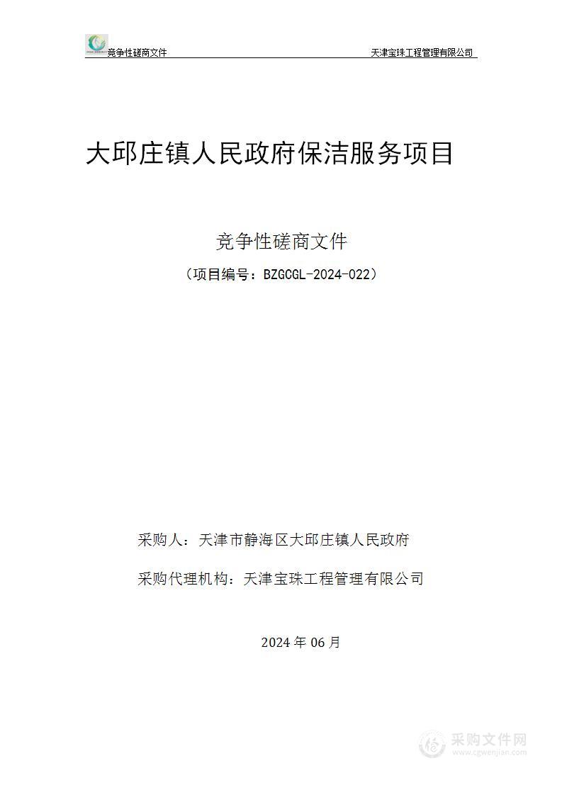 大邱庄镇人民政府保洁服务项目