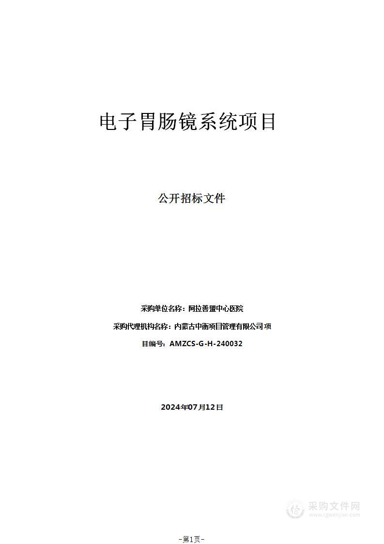 电子胃肠镜系统项目