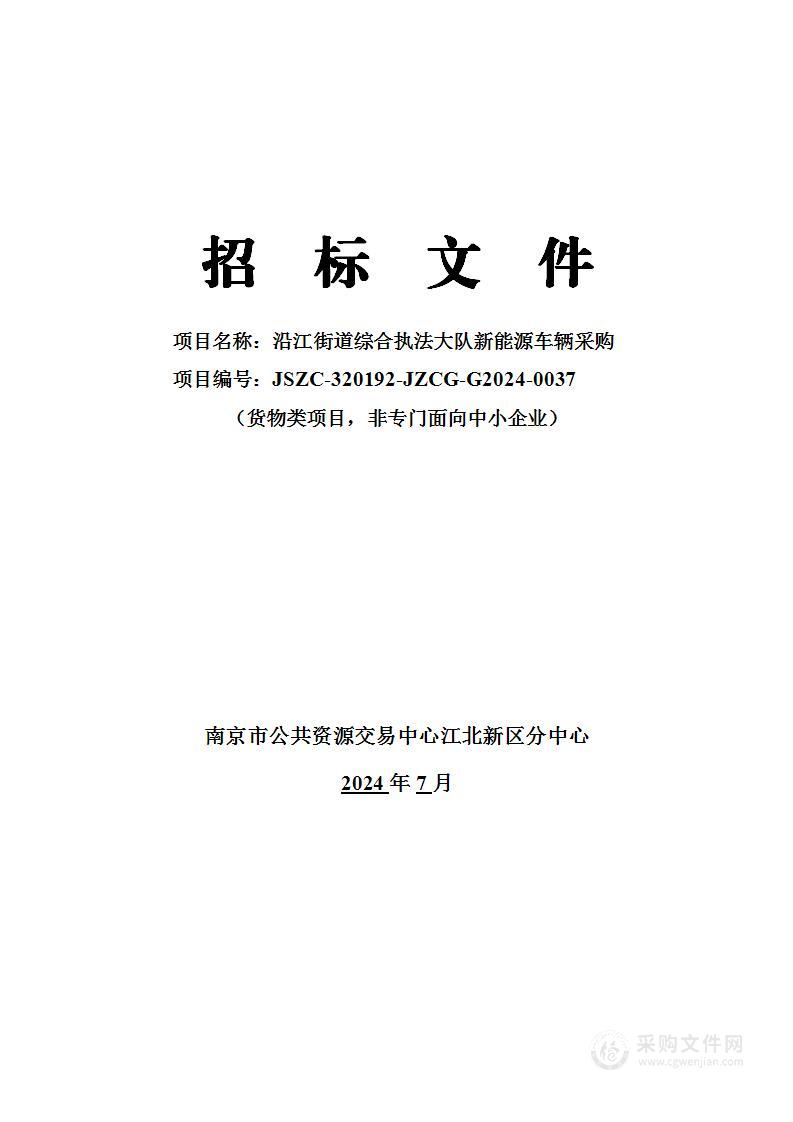 沿江街道综合执法大队新能源车辆采购