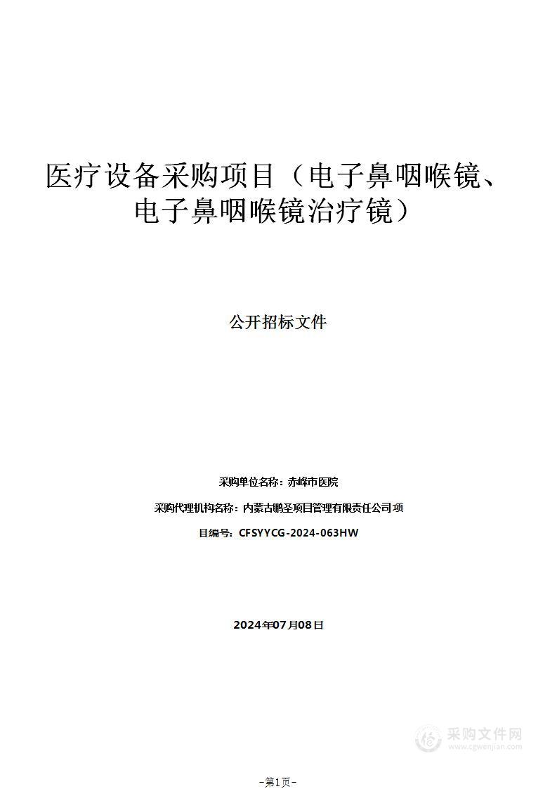 医疗设备采购项目（电子鼻咽喉镜、电子鼻咽喉镜治疗镜）