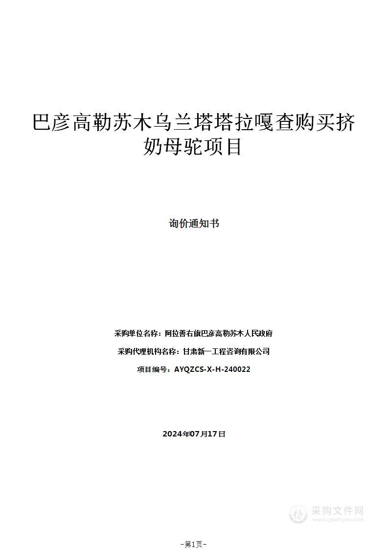 巴彦高勒苏木乌兰塔塔拉嘎查购买挤奶母驼项目