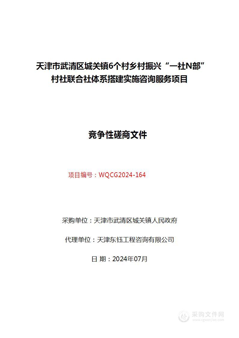 天津市武清区城关镇6个村乡村振兴“一社Ｎ部”村社联合社体系搭建实施咨询服务项目