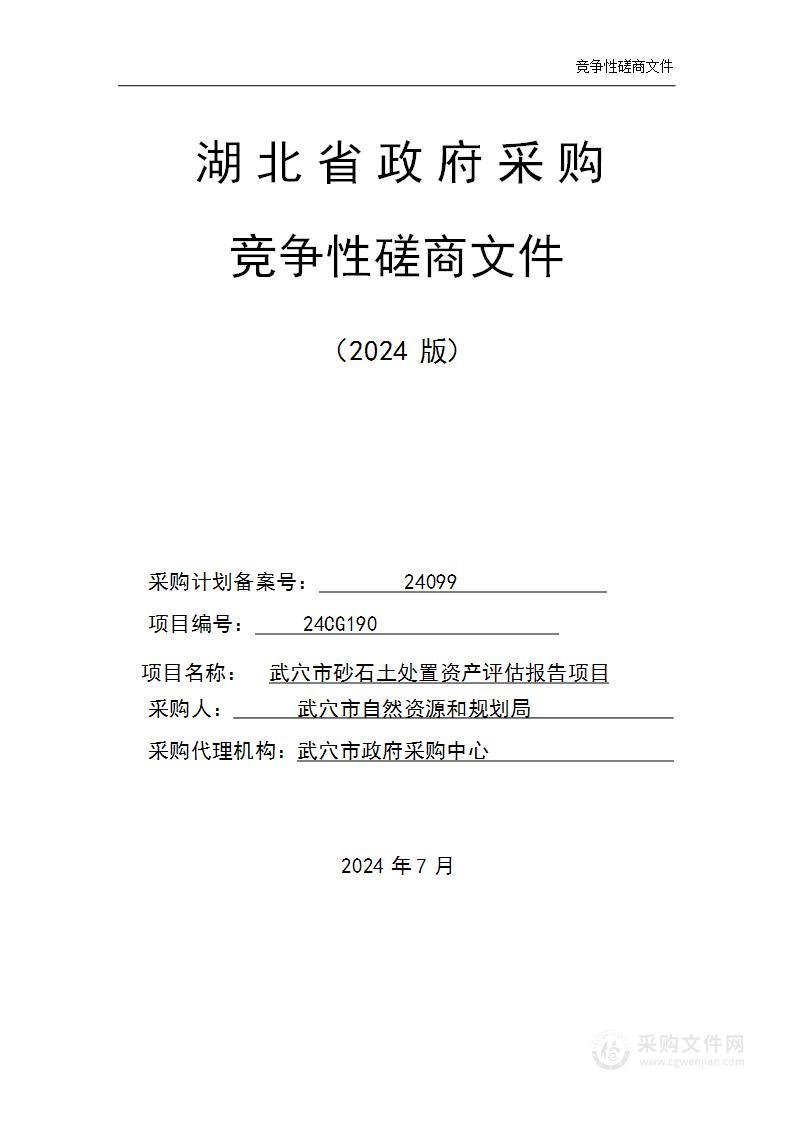 武穴市砂石土处置资产评估报告项目