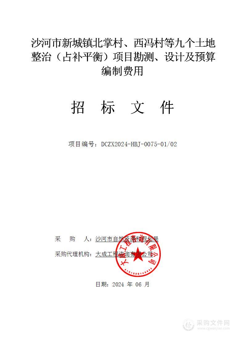 沙河市新城镇北掌村、西冯村等九个土地整治（占补平衡）项目勘测、设计及预算编制费用