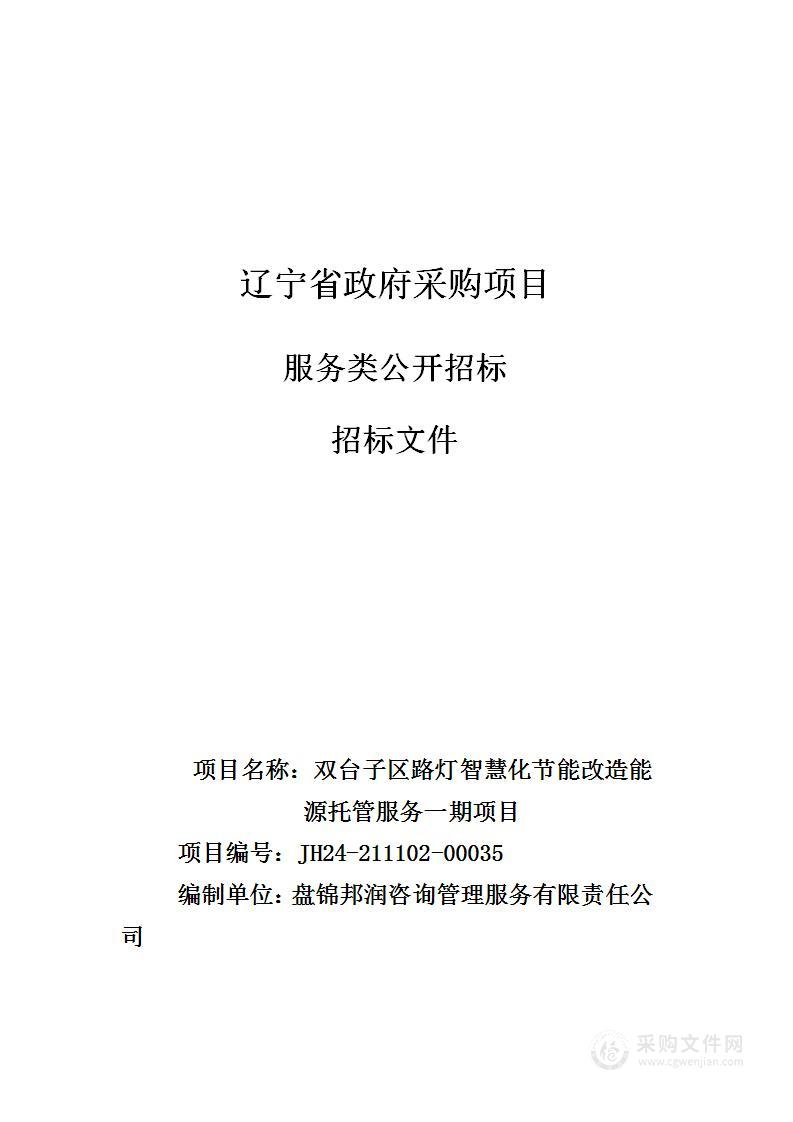 双台子区路灯智慧化节能改造能源托管服务一期项目